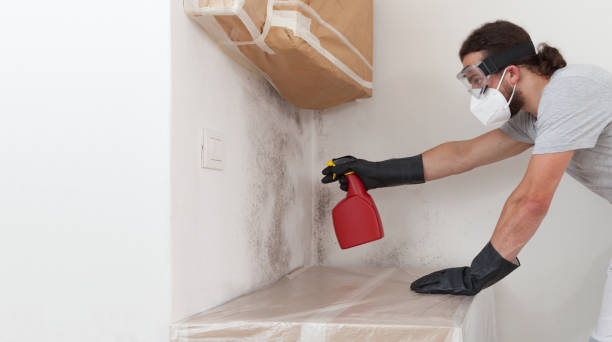 Professional Crawl Space Mold Remediation technician working in West Roxbury, MA