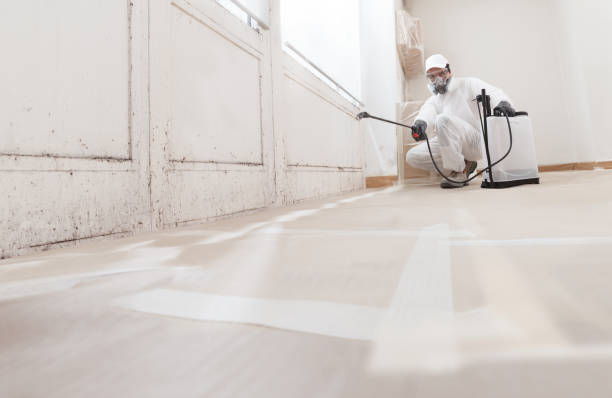 24/7 Emergency Crawl Space Mold Remediation experts in West Roxbury, MA