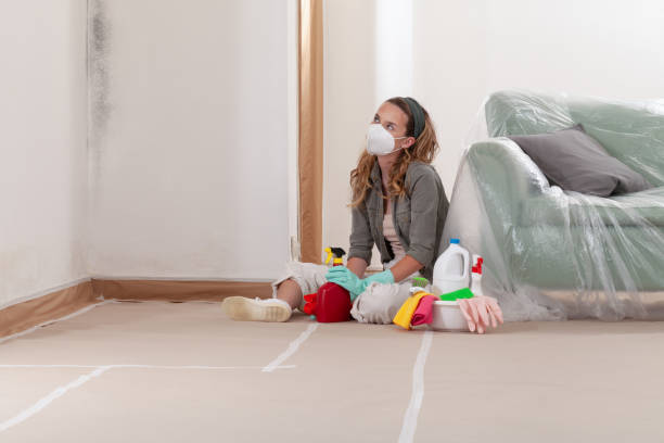 Reliable Crawl Space Mold Remediation contractor in West Roxbury, MA by 24 Hour Mold Removal